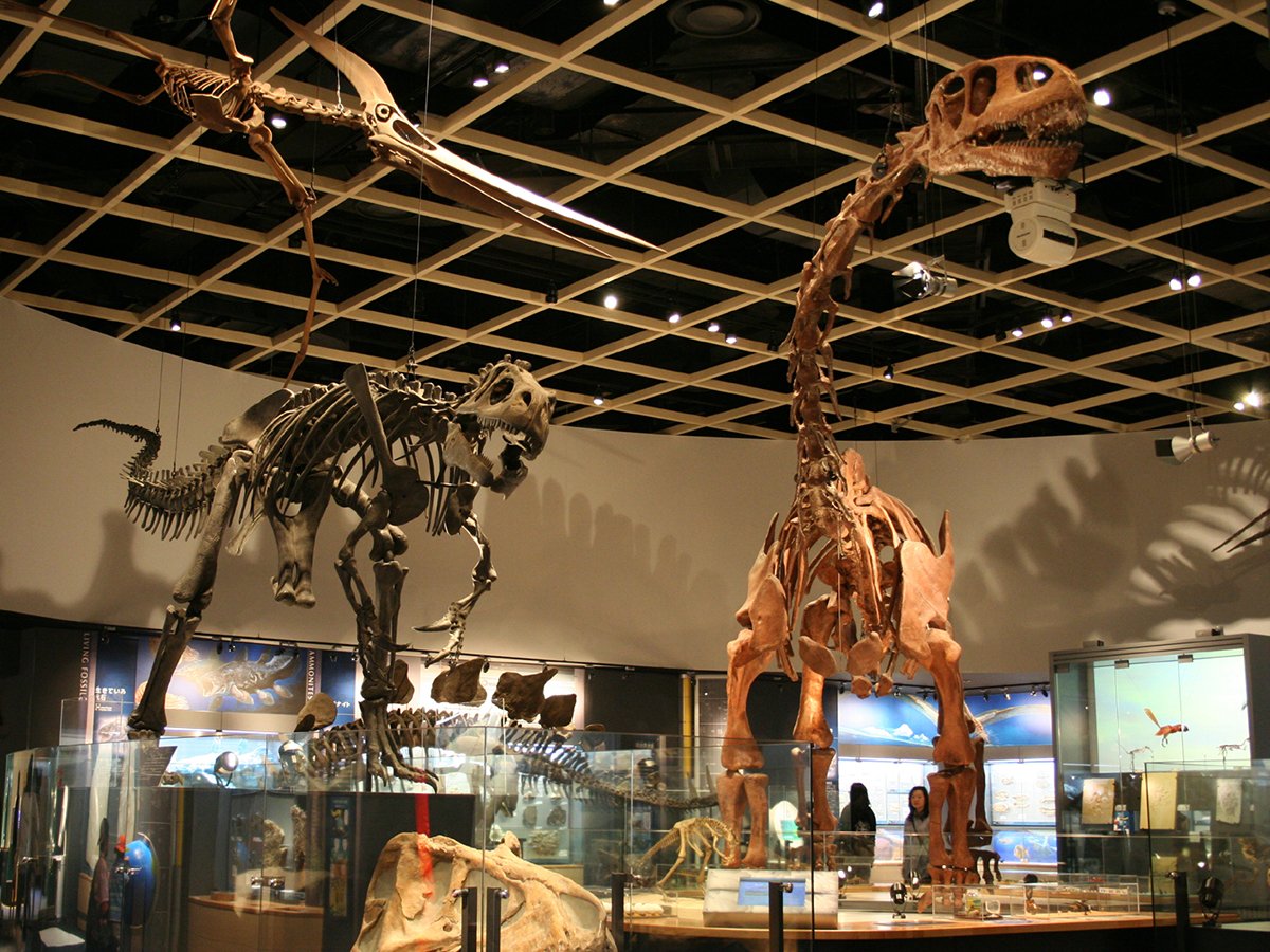 🏞️ 도요하시 종합 동식물 공원 논호이 파크 (도요하시 소고 도쇼쿠부츠 코엔 논호이 파쿠) 이미지 5